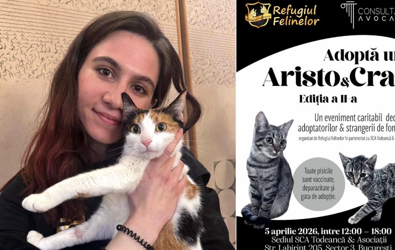 Târgul de adopție AristoCrat revine. Ce aduce nou ediția 2: „Este o celebrare a oamenilor care doresc să schimbe destine”