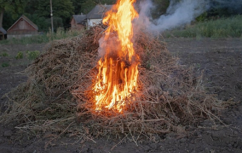 Ce înseamnă expresia „a pune paie pe foc”