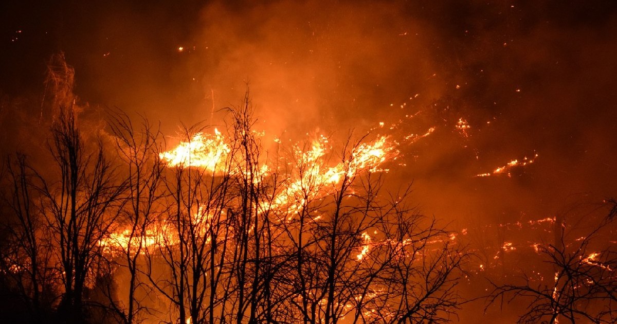 Un incendiu forestier masiv devastează suburbiile din nordul capitalei grecești, Atena, Grecia - 26 iulie 2025
