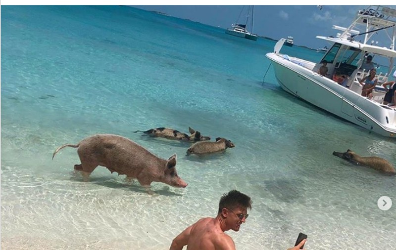 Piatek s-a dus până în Bahamas ca să facă selfie cu porcii