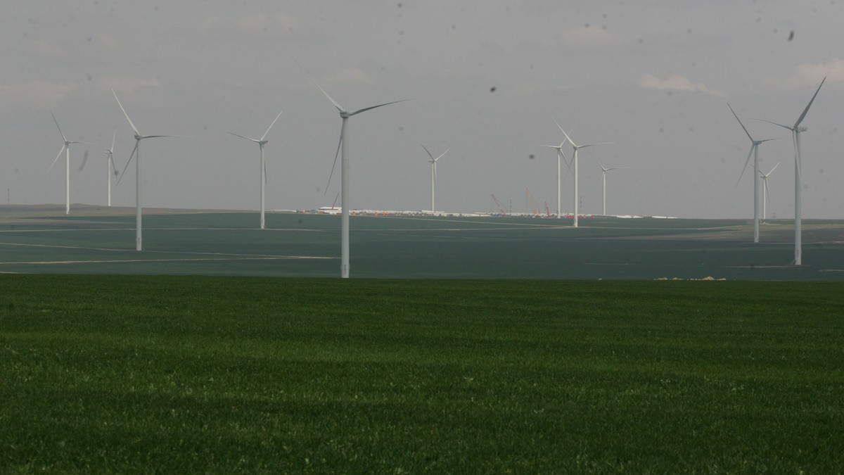 Olanda vrea să investească un miliard de euro într-un proiect energetic eolian din România. Fermă eoliană pe un câmp verde