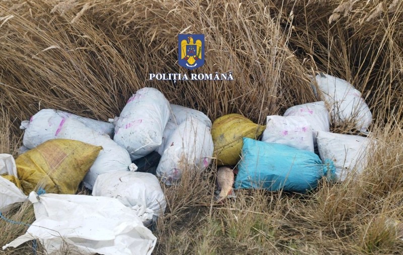 Razie în Delta Dunării. Aproape 300 de kilograme de peşte, confiscate de poliţişti