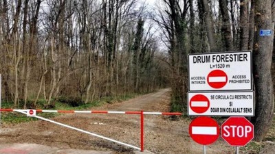 Romsilva a închis oficial drumul prin Pădurea Băneasa. Lovitură pentru locuitorii din Greenfield: accesul auto, din nou interzis pe calea forestieră