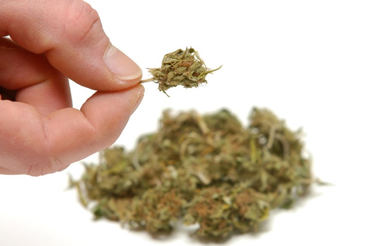 Captură de proporţii în Constanţa: zeci de tone de ţiţei, o plantaţie de cannabis şi 23 de maşini de lux furate