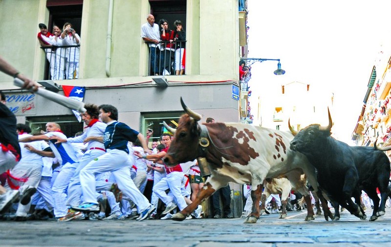 Patru răniţi la cursa cu tauri din Pamplona