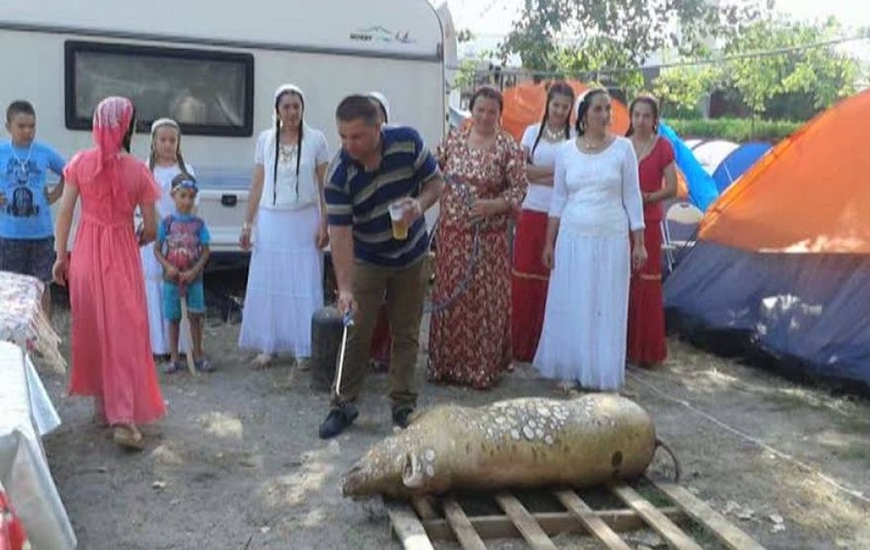 Imagini incredibile în Mamaia. Au tăiat porcul pe plajă