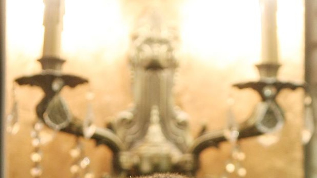 Arhiva foto