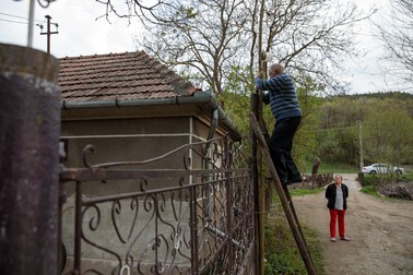 Dumitru Tomoni dă armindenul vechi jos, sub supravegherea fiicei sale Cecilia Foto: Vlad Chirea