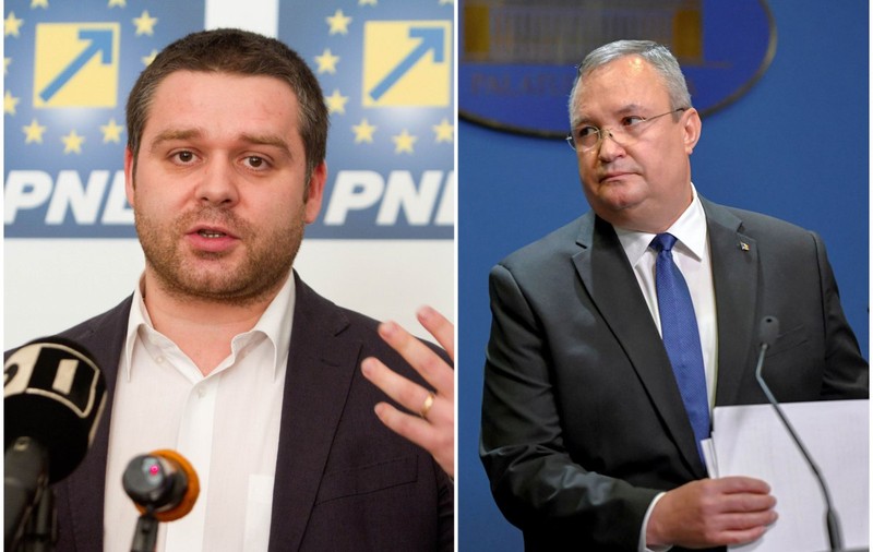 SURSE: Ciprian Ciucu ia în calcul să îi ceară lui Nicușor Dan rezolvarea situației câinilor vagabonzi în planul așteptat de Nicolae Ciucă