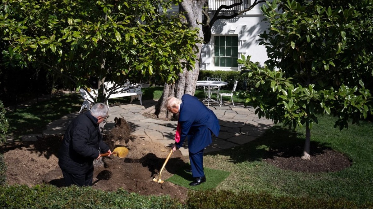 Donald Trump plantează o magnolie în grădina Casei Albe Foto: Facebook/ White House