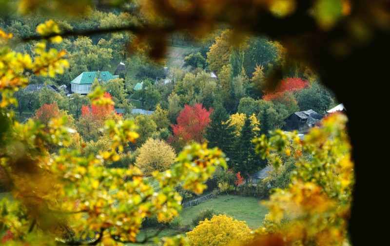 Fotografii prin lumea lui Mihai Eminescu. Toamna colorează spectaculos ”Codrii de aramă” și ”Pădurea de argint”