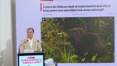 Daniel Băluță i-a cerut lui Nicuşor Dan să semneze actele pentru refacerea Planşeului Unirii „La nevoie, aducem castorii din Cehia”