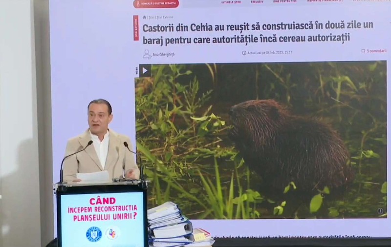 Castorii din Cehia, inspirație pentru primarul Daniel Băluță. Știrea publicată de Libertatea, exemplu pentru lucrările la Planșeul Unirii