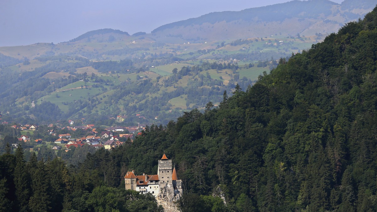 Arhiva foto