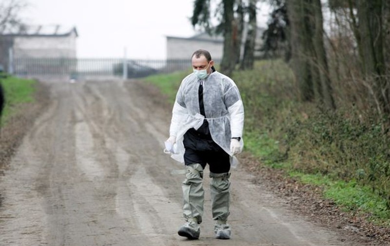Gripă aviară în județul Brașov. O gâscă a murit din cauza virusului H5N8