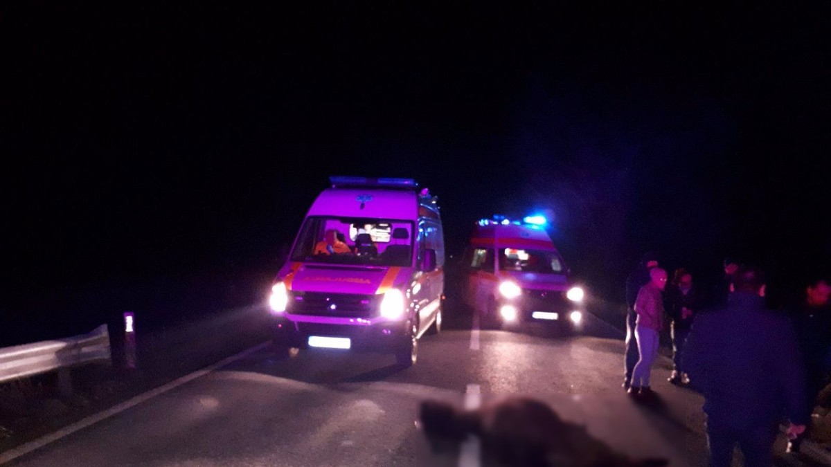 Patru răniți, după ce doi cai lăsați liberi pe șosea au fost loviți de un autoturism în Tulcea