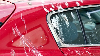 Maşină roşie muradă de găinaţ