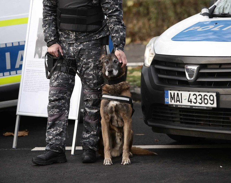 Restricțiile de circulație au aglomerat centrul Bucureștiului, din cauza repetiţiilor pentru parada militară de Ziua Națională