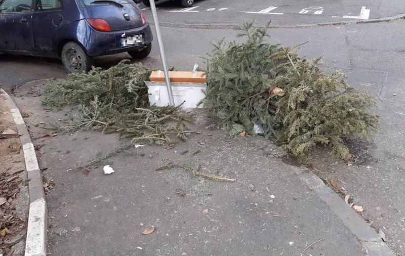 Libertatea te ajută | Unde se pot arunca brazii de Crăciun, în București, dacă gunoierii refuză să-i preia