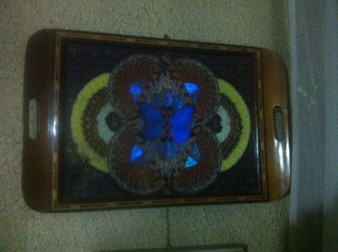 Arhiva foto