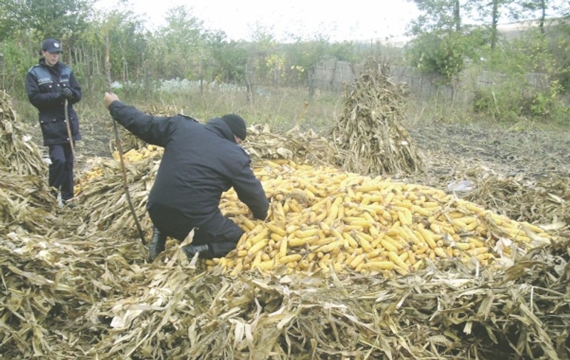 O caută şi-n gaură de şarpe