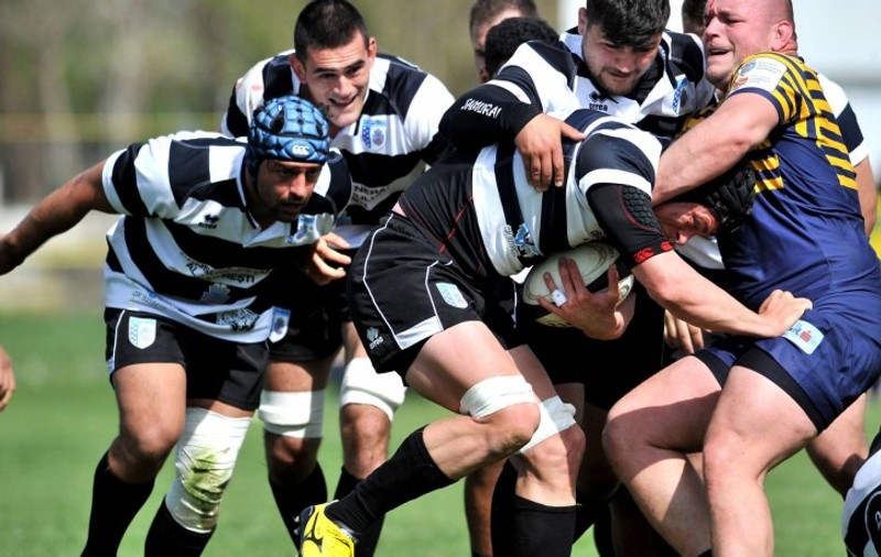 Timișoara Saracens se bate cu italienii de la Calvisano pentru un loc în grupele Challenge Cup la rugby