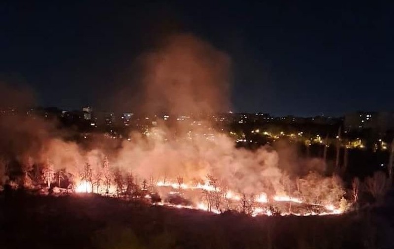 Incendiu puternic în Parcul IOR din București. Au ars 4.000 de metri pătrați de vegetație