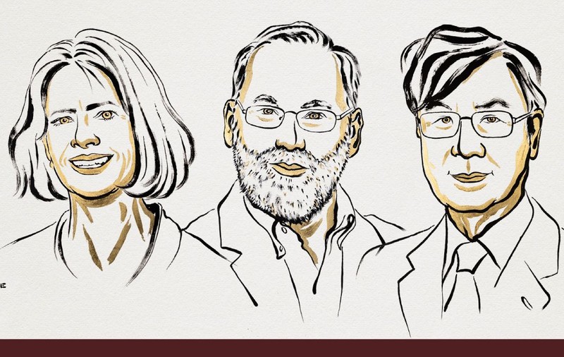 Doi americani și un japonez au primit azi Premiul Nobel pentru Medicină și Fiziologie. Ce descoperiri revoluționare au făcut