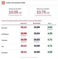 Infografic realizat cu ajutorul Inteligenței Artificiale