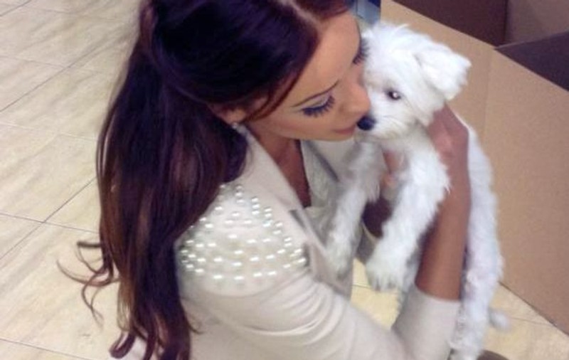 Bianca Drăgușanu e o «mamă» neglijentă! Și-a uitat cățeii la «bonă» 