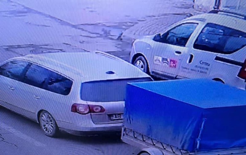 Polițiștii din Sebeș au fost nevoiți să prindă un porc ”evadat” dintr-o mașină aflată în trafic