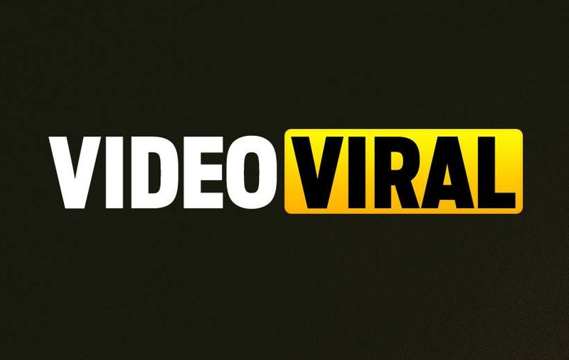 VIDEO VIRAL| Un fermier fluieră să adune sute de găini
