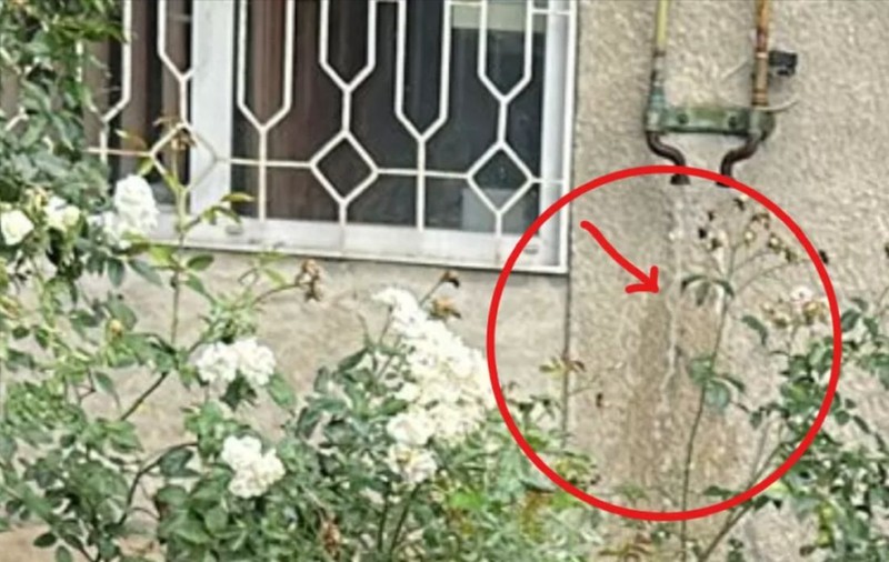 Un bărbat din Brașov a băgat apă pe țevile de gaz ale vecinilor, după ce a vrut să își monteze singur o centrală termică