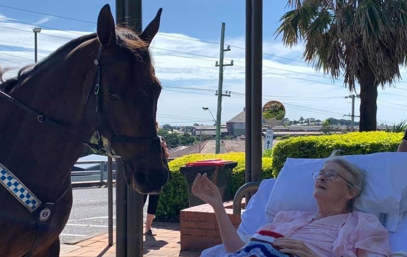 Ultima dorință a Ritei Meredith, prima femeie ofițer de poliție călare din Marea Britanie, a fost îndeplinită: a văzut și a mângâiat caii