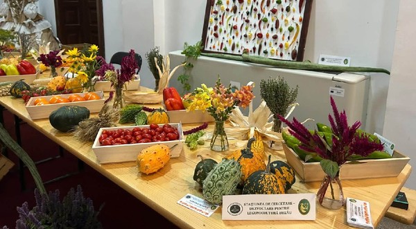 legume-fructe-institulul-de-cercetrae-buzau