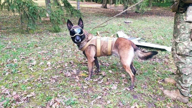 Zeus a găsit piloți ruși care s-au catapultat din avioane doborâte după ce au bombardat regiunea Harkov