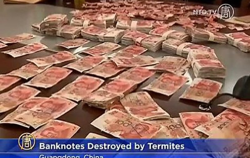 O chinezoaică a rămas fără 10.000 de dolari după ce bancnotele au fost mâncate