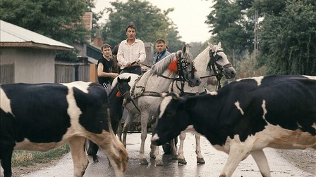 “O noapte în Tokoriki” este povestea unui majorat la țară