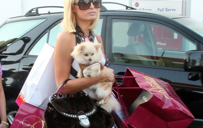 Câinii lui Paris Hilton au vilă de lux