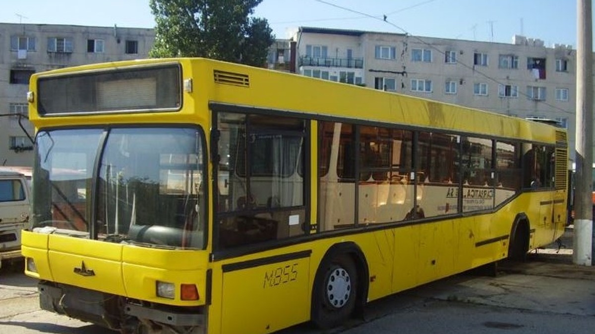 Arhiva foto