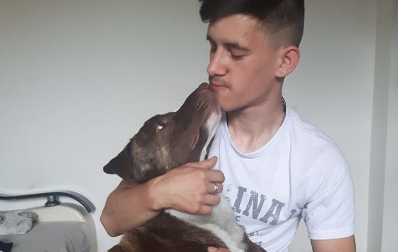 Timișorean amendat constant pentru câinele din casă. Un vecin nu este de acord cu deținerea animalului