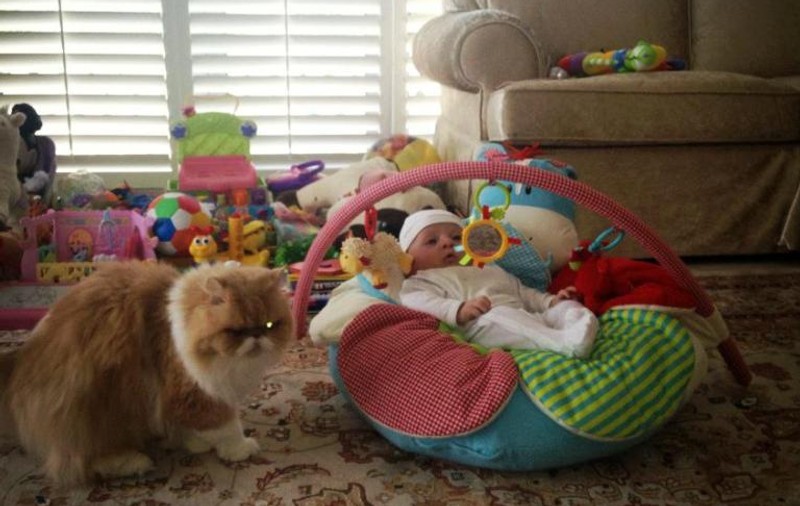 Uite ce babysitter original are fiul lui Walter Zenga!