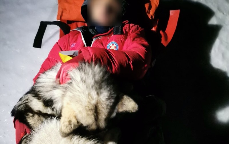 Un câine și-a salvat prietenul accidentat pe munte, acoperindu-l cu trupul său timp de 13 ore
