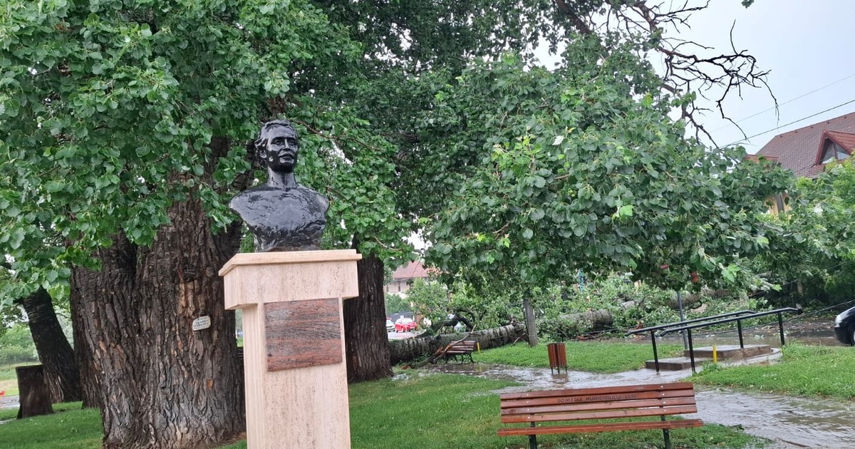 Plopul a fost sursă de inspirație pentru poetul Mihai Eminescu