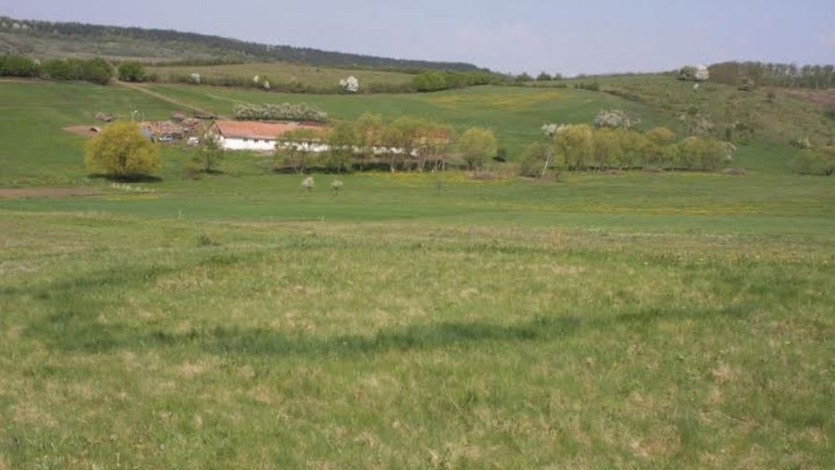 Arhiva foto