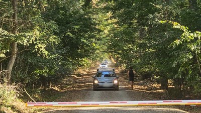 trafic auto in Padurea Baneasa