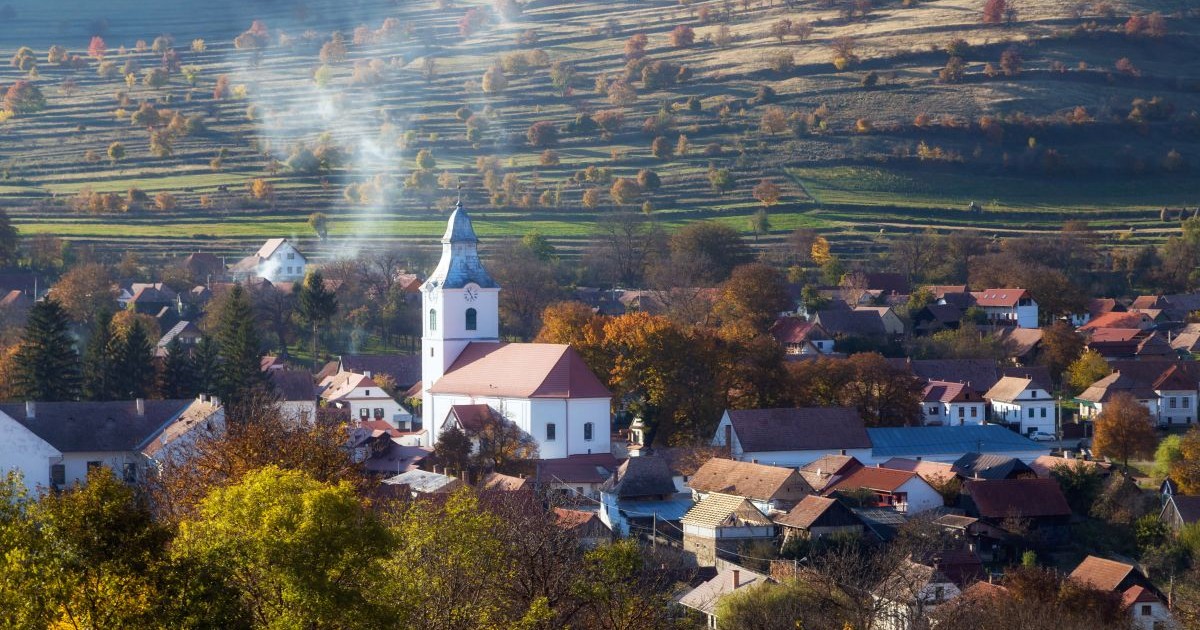 Arhiva foto