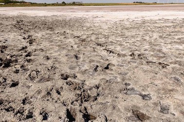  Lacul Movila Miresii a secat aproape complet din 2022. Sursa foto: Eli Driu
