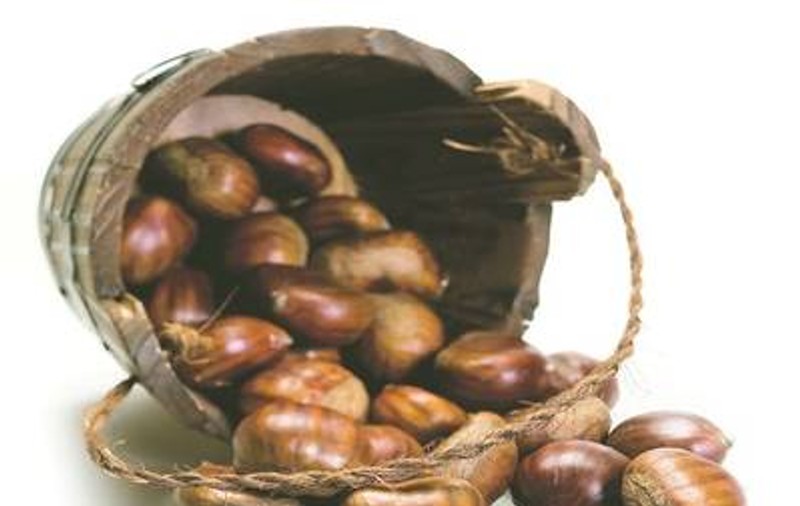 Castanele sunt recomandate copiilor