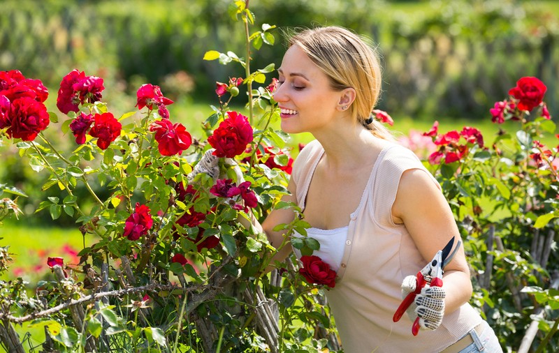 Zodiile și plantele lor preferate. Care este floarea-simbol a zodiei tale